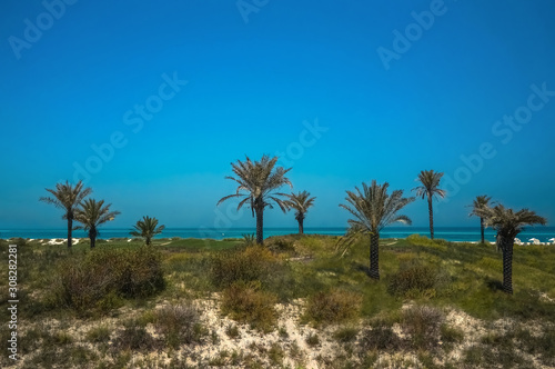 Abu Dhabi. Clean beach shoreline of the Arabian Gulf island of Saadiyat. 
