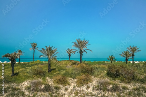 Eco-friendly oasis on the shore of Saadiyat island. Abu Dhabi.