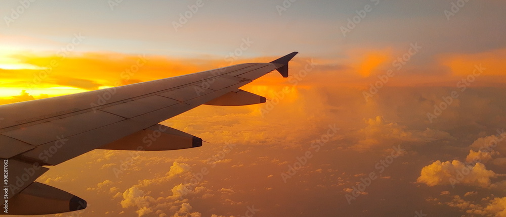 Fototapeta premium Fly Off