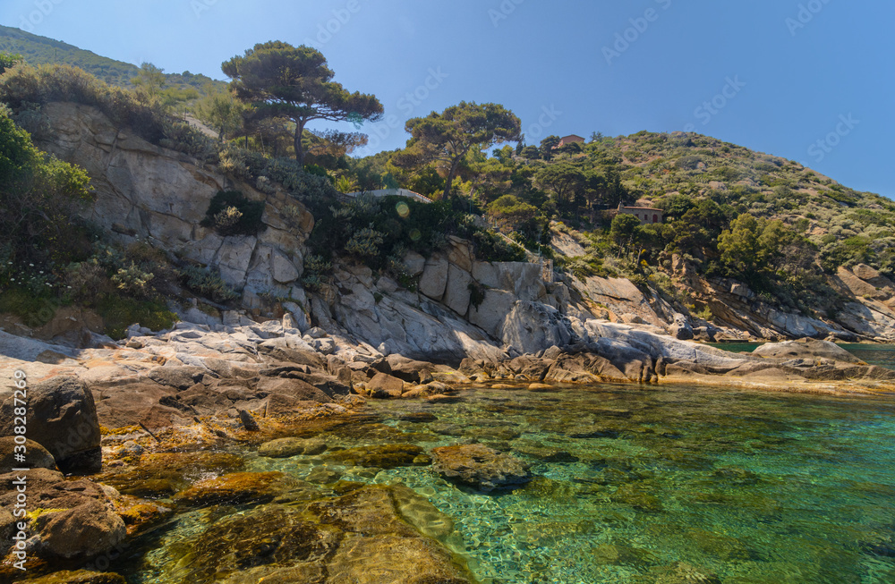 Felsenküste mit Pinien  und grünem Wasser Isola del Giglio