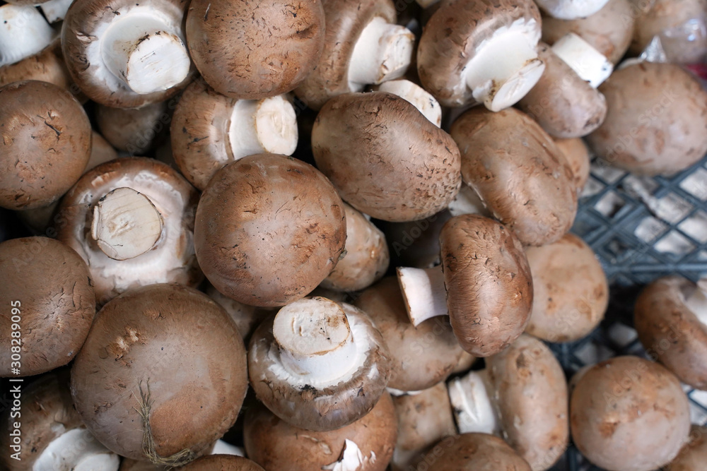 pile of fresh royal mushrooms