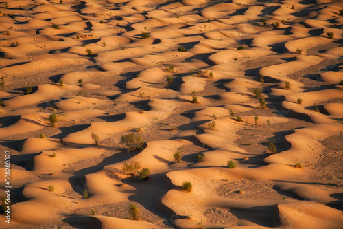 dunes with tire marks photo