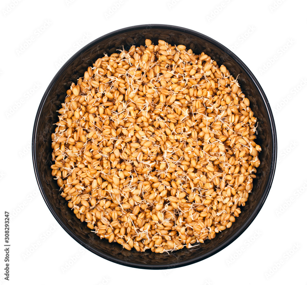 Sprouted wheat in black ceramic bowl isolated on a white background. Top view. Sprouted wheat in black ceramic bowl isolated on a white background. Top view.