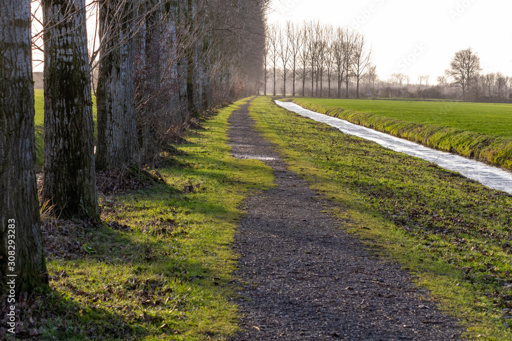 Gravel trail lined with grass trees and water Gravel trail lined with grass trees and water