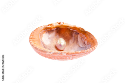 Sea shell with pearl isolated on white background.