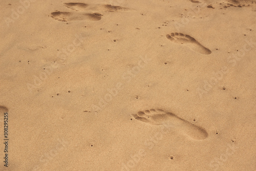 footprints of a man in the sand on the beach, footprint