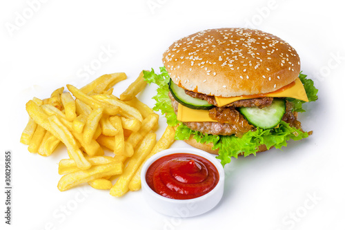 hot burger with fries and sauce on a white plate with tasty filling
