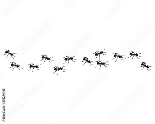 Worker ants marching in a line. ants road, Vector illustration