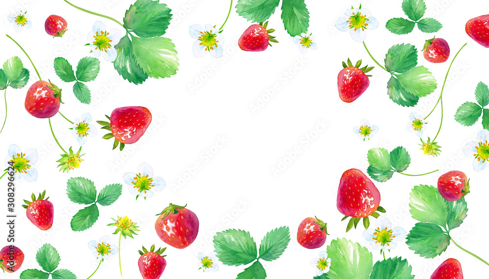 イチゴの水彩イラスト 葉と花と実をちりばめたフレームパターン Illustration Stock Adobe Stock