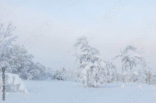 Wallpaper Mural Winter landscape Torontodigital.ca