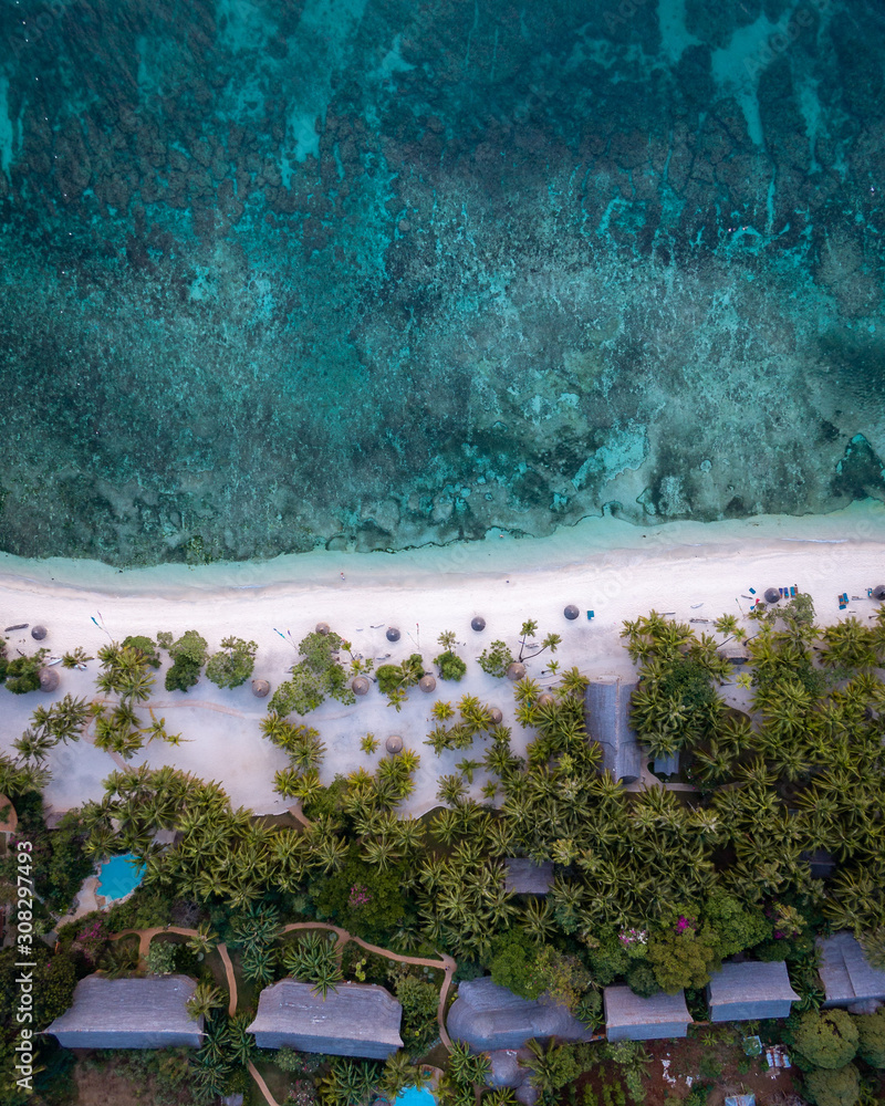 Fototapeta premium Palm White Beach with Turquoise Water