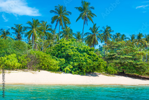 Beautiful beach at tropical island with palm trees  white sand and blue sea