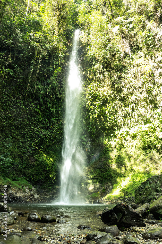 Obraz premium beatiful waterfall in deep forest ecuador