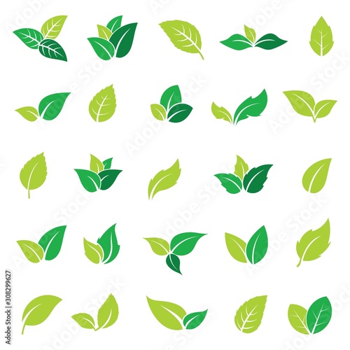 green leaf icons set on white background, vector Illustration
