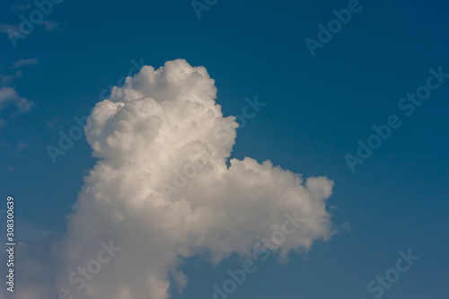 A cumulus resembling a poodle