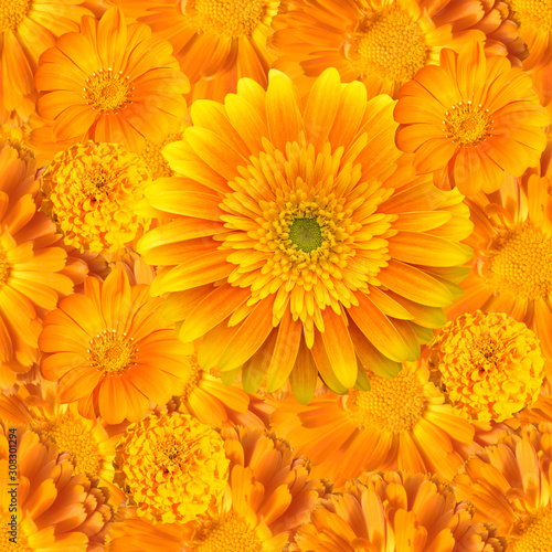 Seamless  pattern with orange flowers