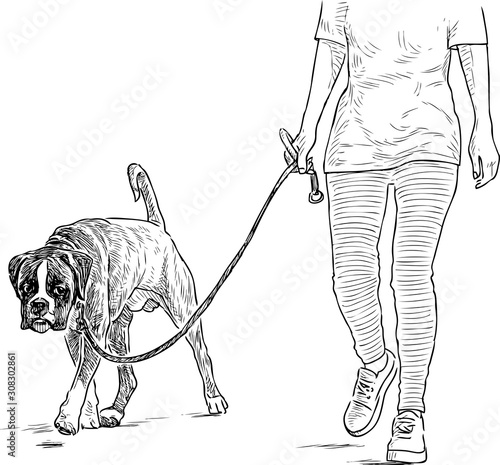 Sketch of bulldog with his owner walking on a stroll