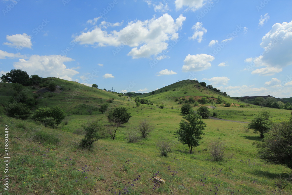 landscape with trees and blue sky landscape with trees and blue sky