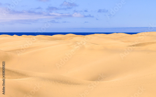 golden sand horizons