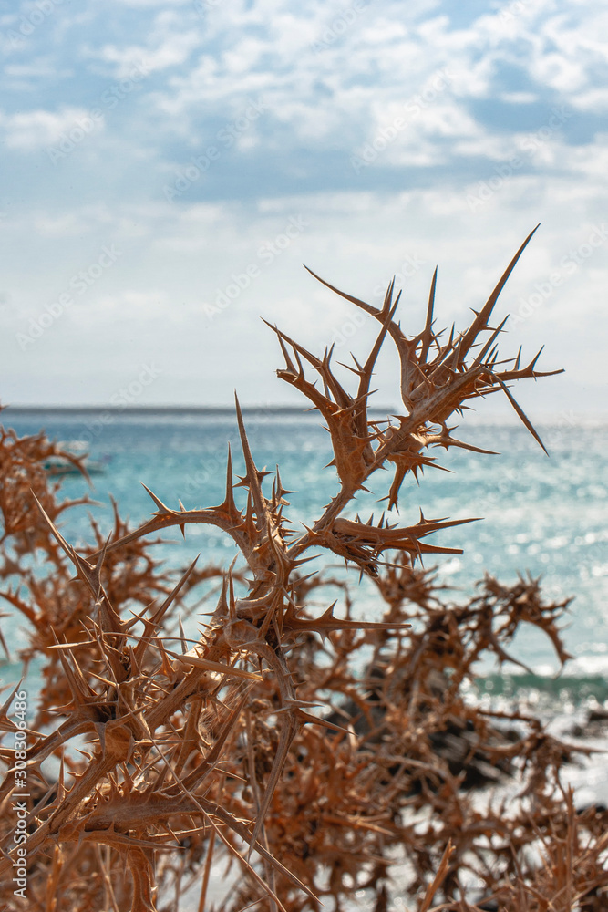 Beautiful nature in Paros island in Greece Beautiful nature in Paros island in Greece