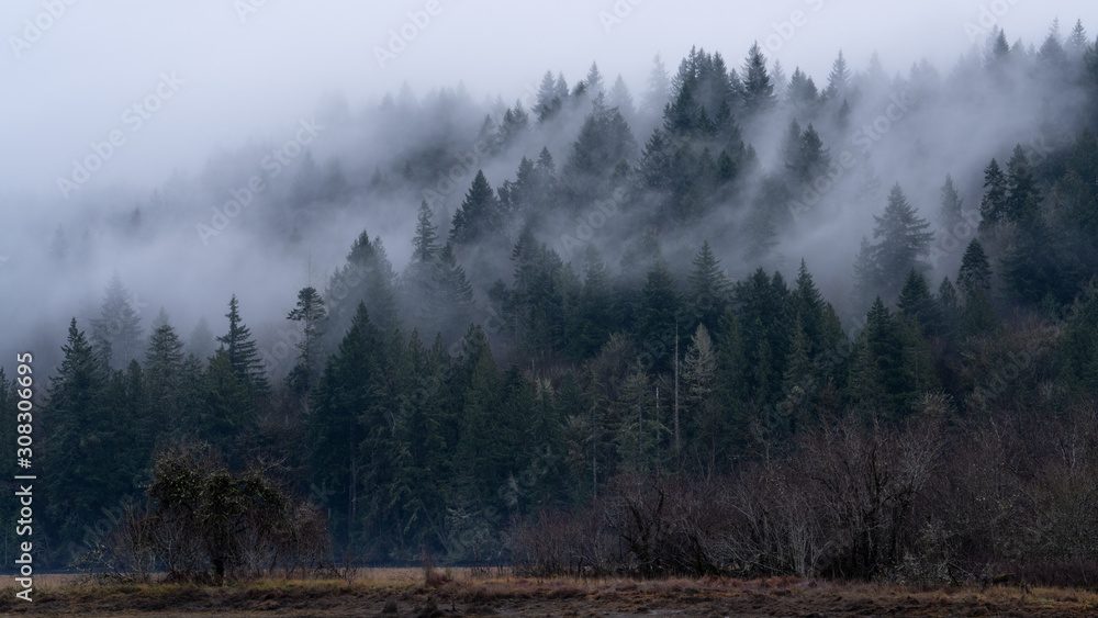 End Of Day Hilside Fog On Oyster Bay End Of Day Hilside Fog On Oyster Bay