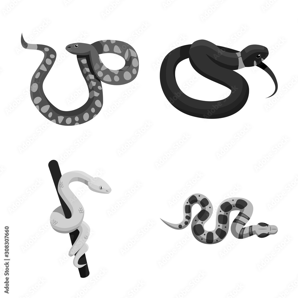 Naklejka premium Vector design of snake and creepy sign. Collection of snake and animal stock vector illustration.