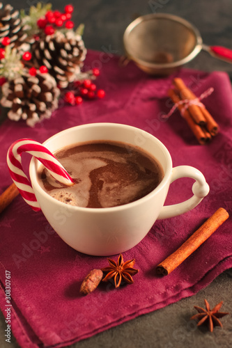 Rich winter hot chocolate with cinnamon sticks and spices