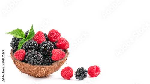 Blackberry and raspberry on the white background.