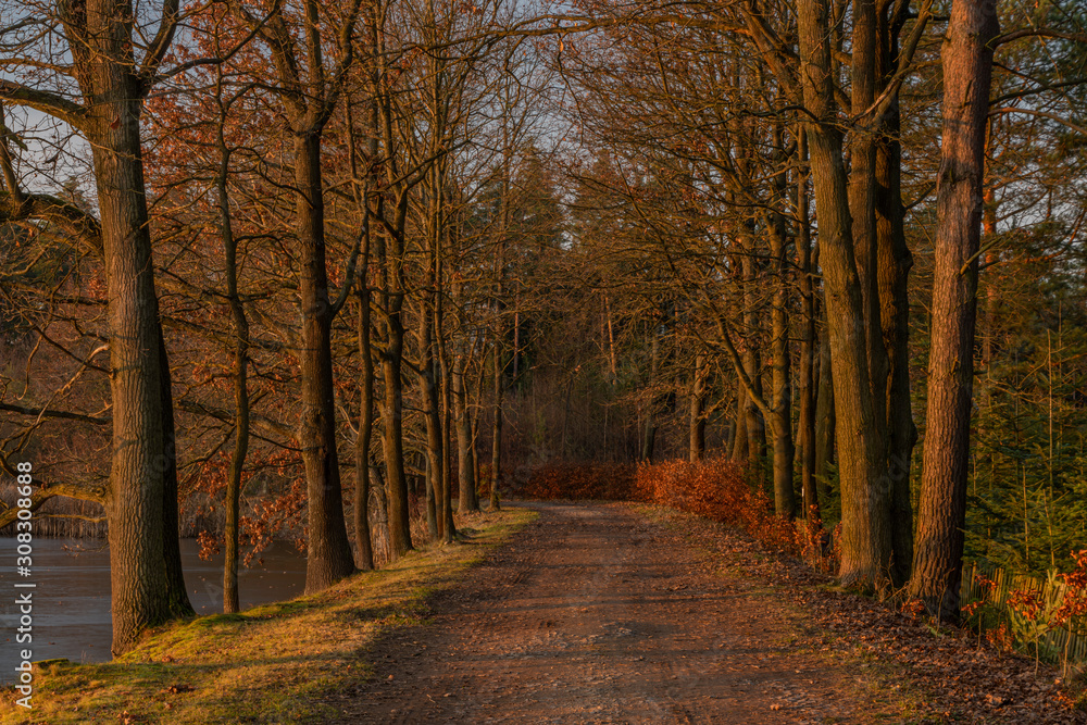 Fototapeta premium Path near Rouda and Olesnicky novy pond in sunset time in winter evening