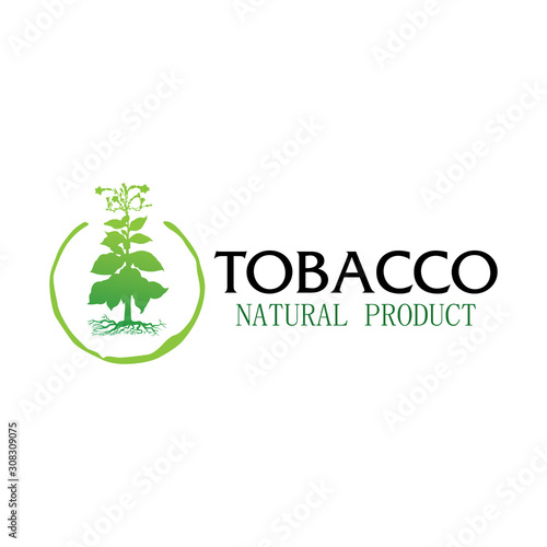 Vector logo for natural tobacco products, goods