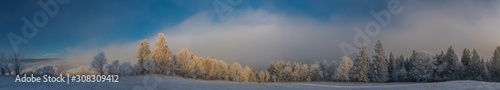 Panorama of spruce snowy tree and forests in winter Krusne mountains in north Bohemia
