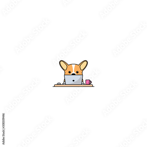 Cute welsh corgi dog working on a laptop, vector illustration