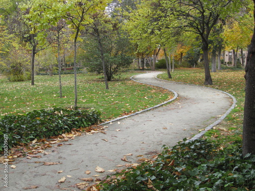 Camino de paseo de tierra en forma de s entre árboles y césped en otoño con árboles y plantas en distintos tonos