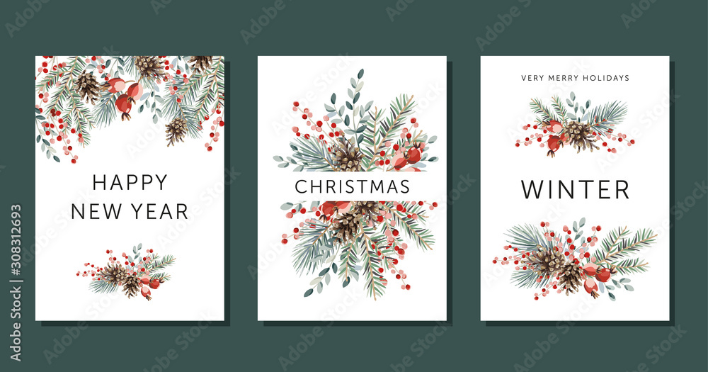 Christmas nature design greeting cards template, arrangements, text Winter, Happy New Year, Merry Holidays, white background. Green pine, fir twigs, cones, red berries. Vector xmas illustration