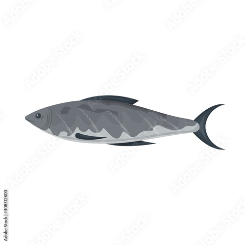 Sea fish vector icon.Cartoon vector icon isolated on white background sea fish.