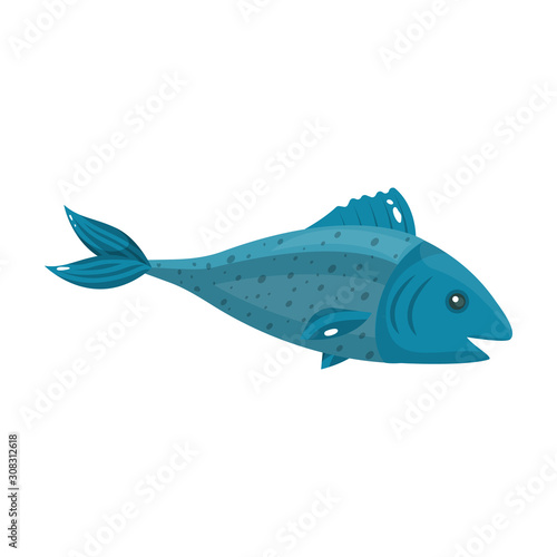 Sea fish vector icon.Cartoon vector icon isolated on white background sea fish.