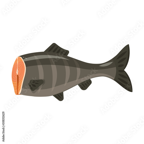 Sea fish vector icon.Cartoon vector icon isolated on white background sea fish.