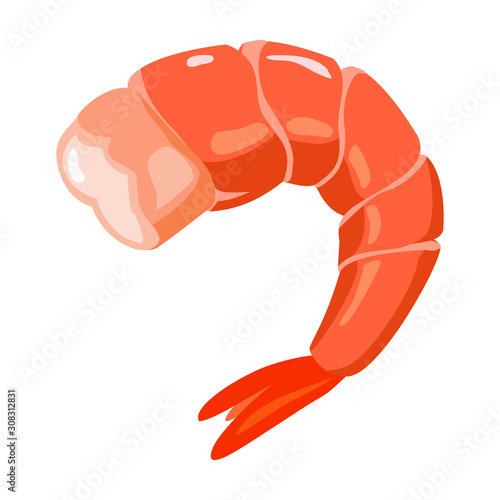 Shrimp vector icon.Cartoon vector icon isolated on white background shrimp . photo