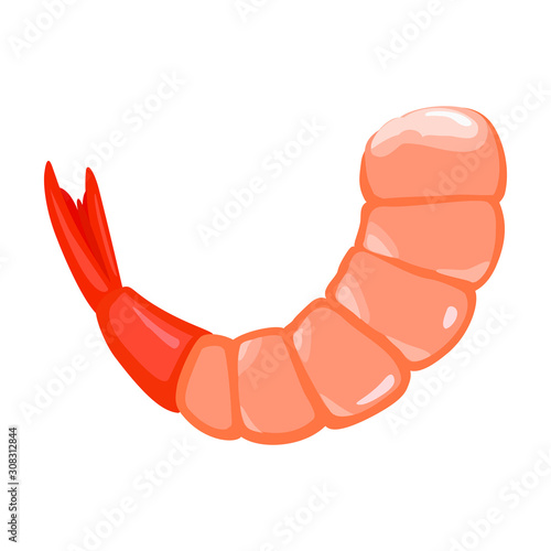 Shrimp vector icon.Cartoon vector icon isolated on white background shrimp .