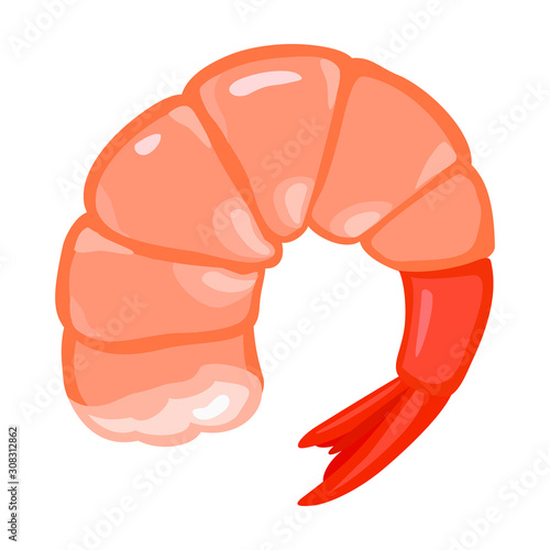 Shrimp vector icon.Cartoon vector icon isolated on white background shrimp .