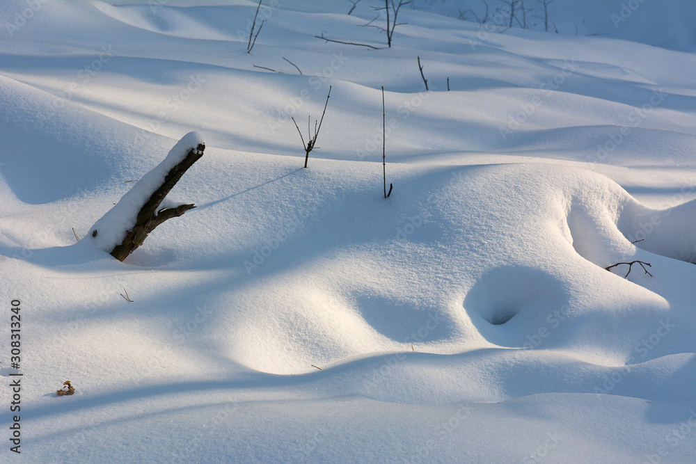 Obraz premium Shadow of a tree in the snow on a winter day