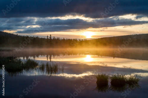 Russian northern landscape. Kola Peninsula, the Arctic. Murmansk region. Swamp with morning haze at sunrise