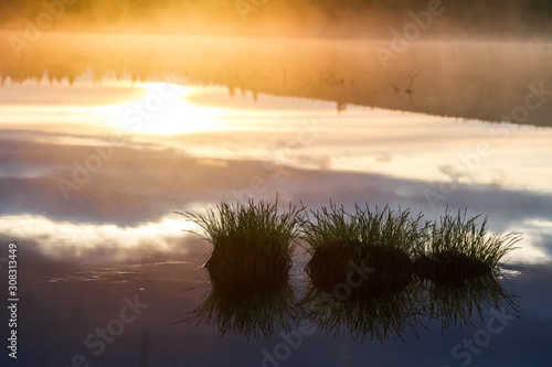 Russian northern landscape. Kola Peninsula, the Arctic. Murmansk region. Swamp with morning haze at sunrise photo