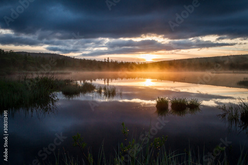 Russian northern landscape. Kola Peninsula  the Arctic. Murmansk region. Swamp with morning haze at sunrise