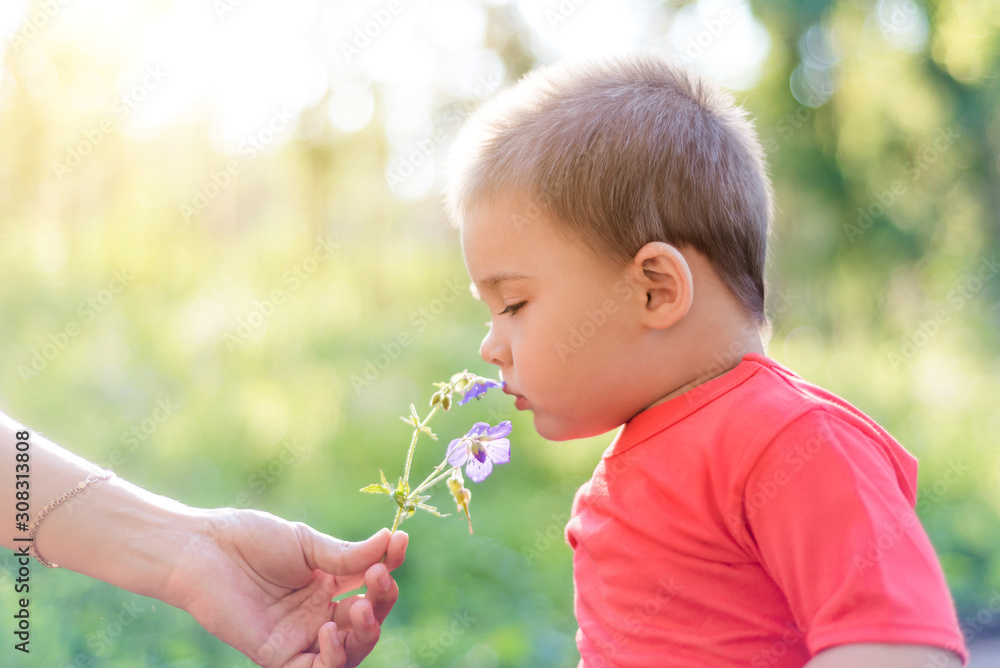 a little child in the Park sniffing a flower, a child enjoying nature on a Sunny summer day. the concept of happy childhood and kindness. cute kind child on the street with a flower a little child in the Park sniffing a flower, a child enjoying nature on a Sunny summer day. the concept of happy childhood and kindness. cute kind child on the street with a flower