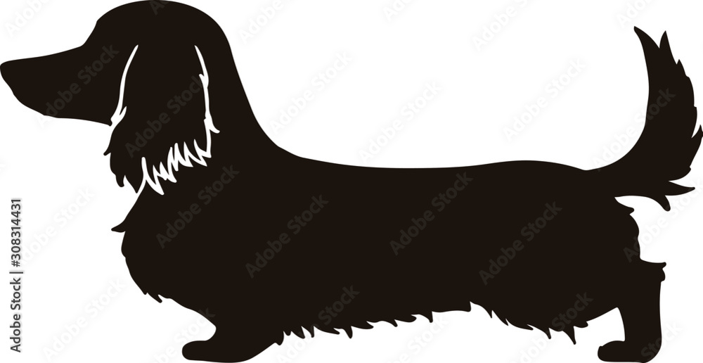 Long haired dachshund Silhouette with ear line Stock Vector | Adobe Stock