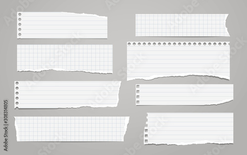 Pieces of torn horizontal white lined and squared paper with soft shadow are on grey background for text. Vector illustration