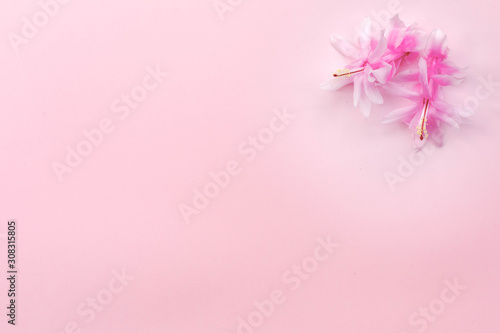 Festive flower composition on pink  background. Overhead view. © jarvna