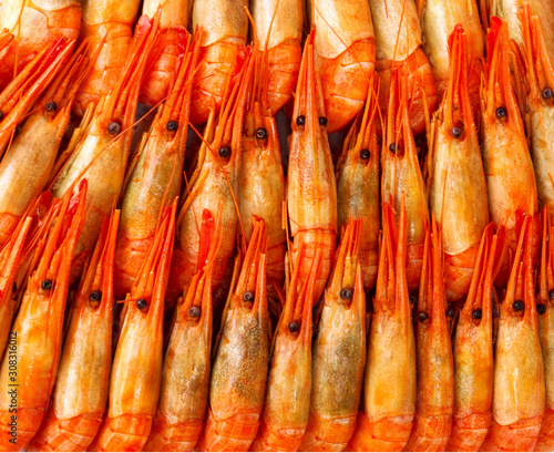  Cooked Prawns or Tiger Shrimps. Seafood.