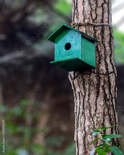 A green bird house installed in the tree in the forest.	